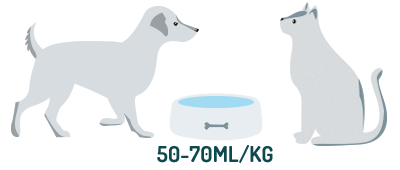 picture-dog-bowl-2.png